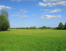 The Watkins Group Realty